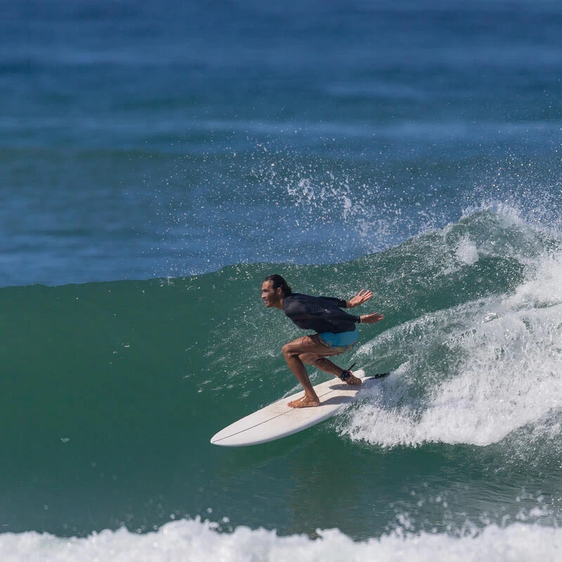 FISH 900 5'8" 35 L. Livrée Avec 2 Ailerons Twin . – Image 2